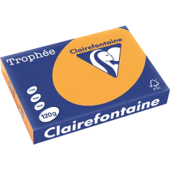 Ramette de papier de 250 feuilles A4 120g - Clémentine : CLAIREFONTAINE Trophée Photo